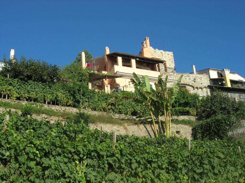 Paradiso Di Manu Hotel