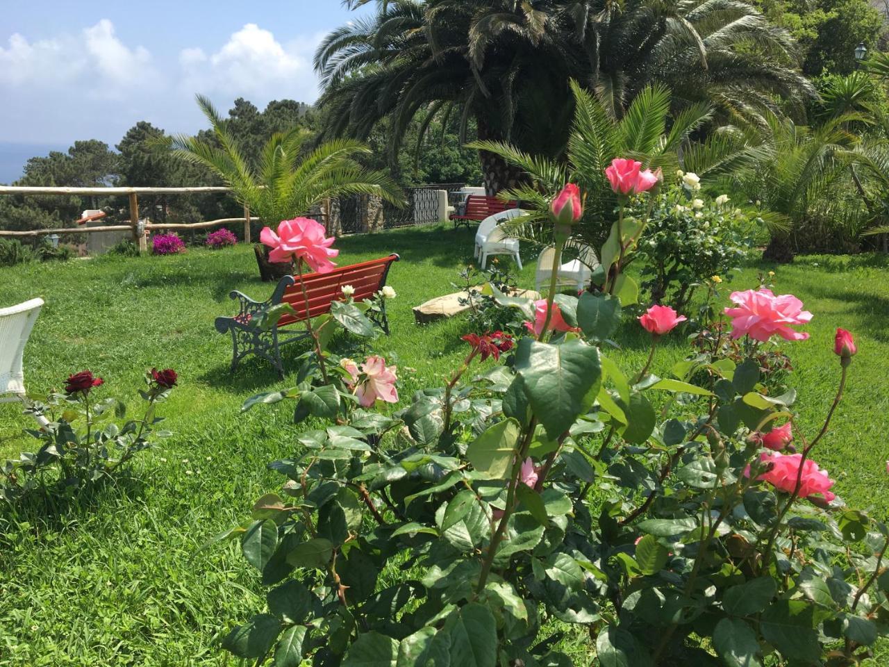 Paradiso Di Manu Noli